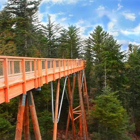 Weingaertner 3* Bad Wildbad