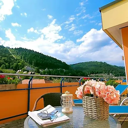 فندق Weingaertner 3*
