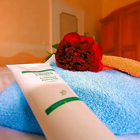 فندق Weingaertner باد ويلباد