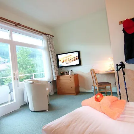 Hotel Weingaertner Bad Wildbad