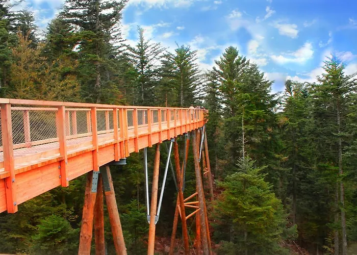 魏因加特纳酒店 3* 巴特维尔德巴德