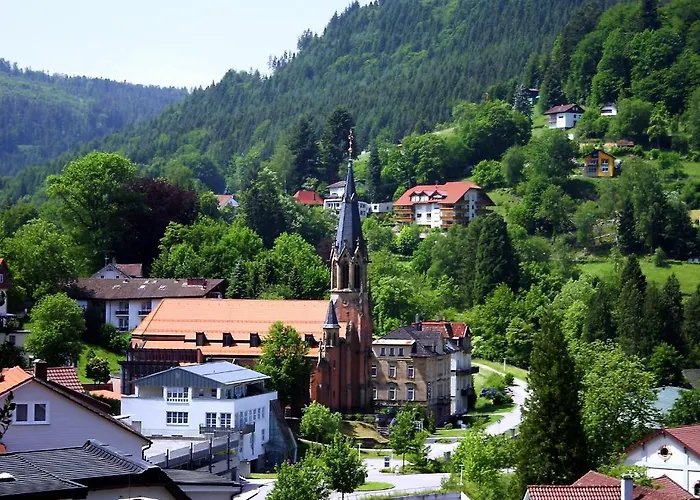 魏因加特纳酒店 3*