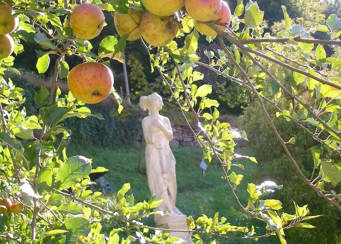 酒店 魏因加特纳酒店 3*