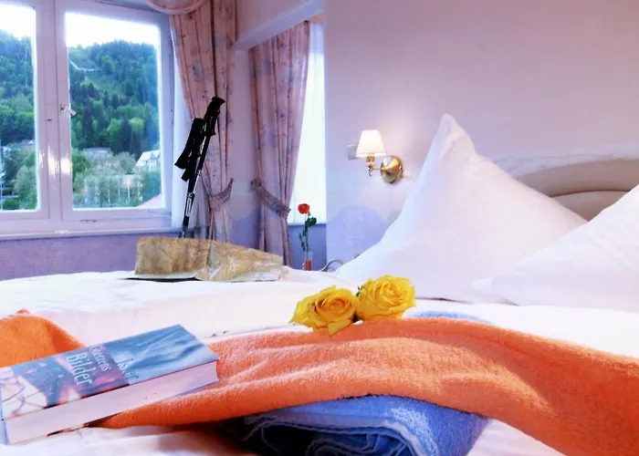 魏因加特纳酒店 3*