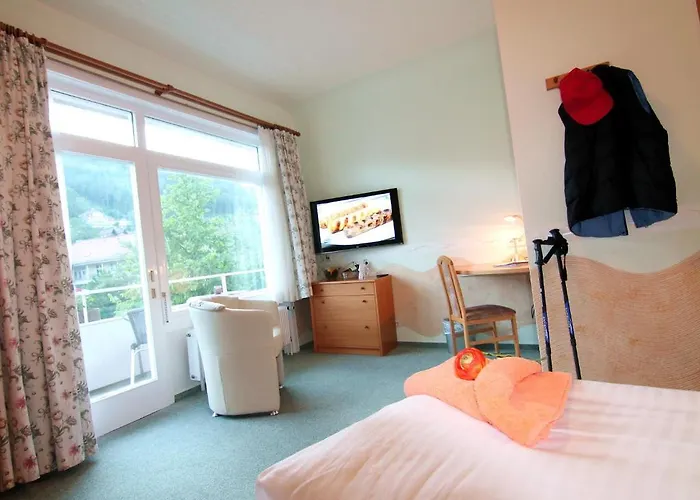 Hotel Weingaertner Bad Wildbad